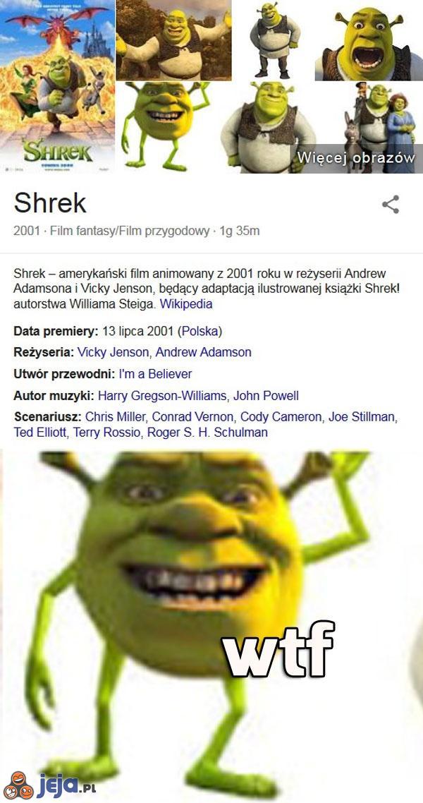 Shrek według Google - autentyk