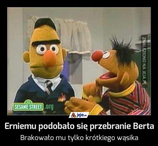 Erniemu podobało się przebranie Berta