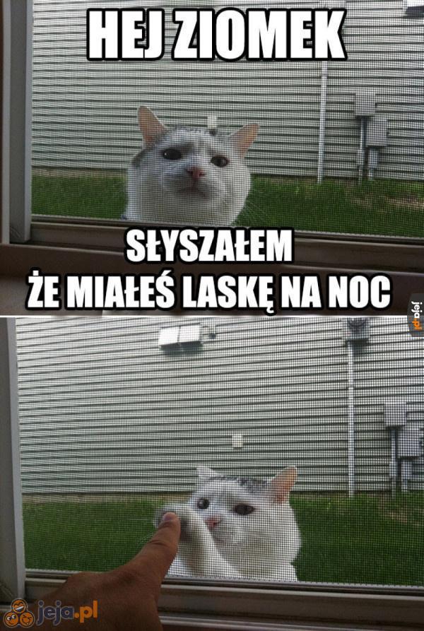 Pjona, ziomek!