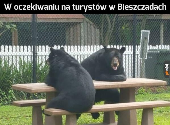 Jedzenie na dowóz