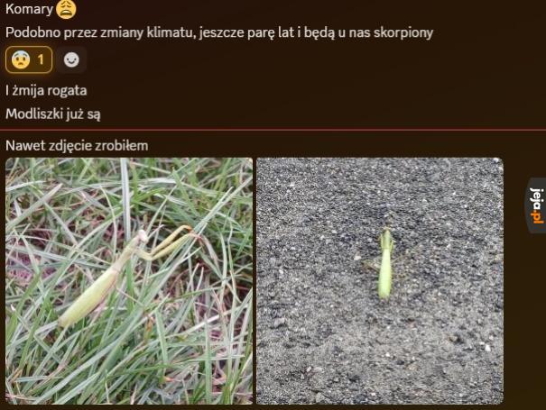 Gotowi na skorpiony?