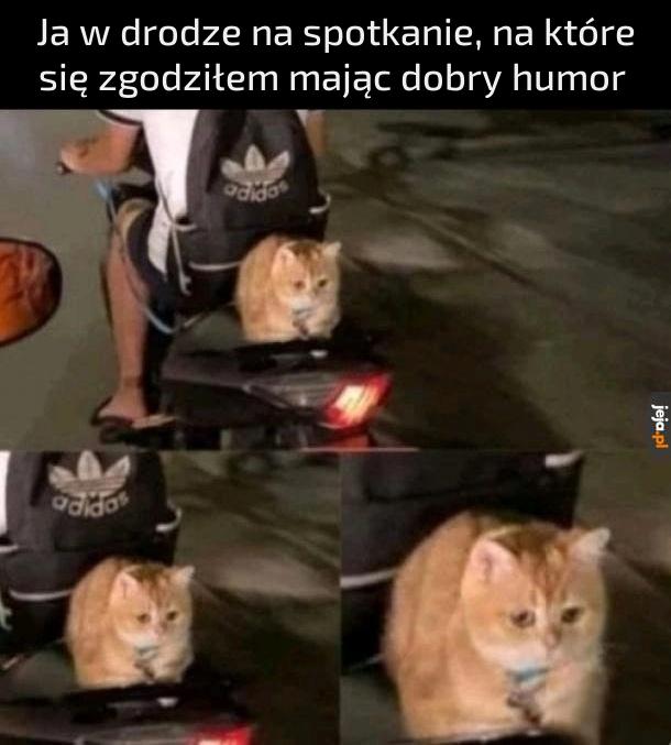 Dlaczego to zrobiłem?