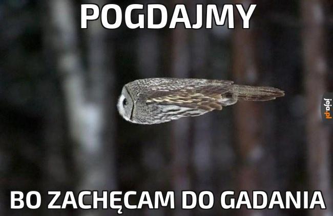 Pogdajmy