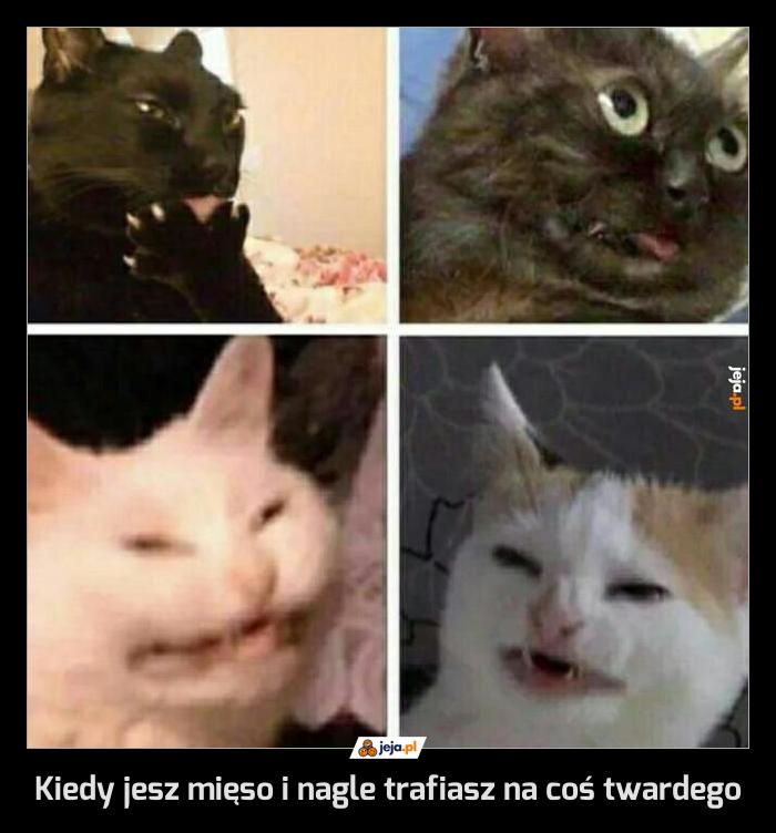 Kiedy jesz mięso i nagle trafiasz na coś twardego