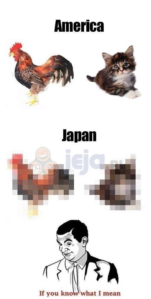 Ameryka vs Japonia