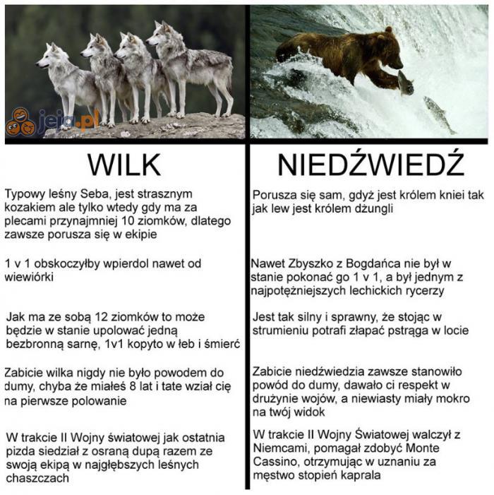 Nic nie mam do wilków, nawet szacunku