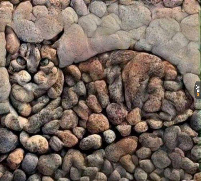 Kamienny kot