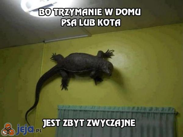 Bo trzymanie w domu psa lub kota jest zbyt zwyczajne