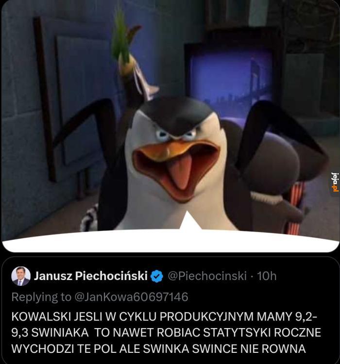 Kowalski Analiza