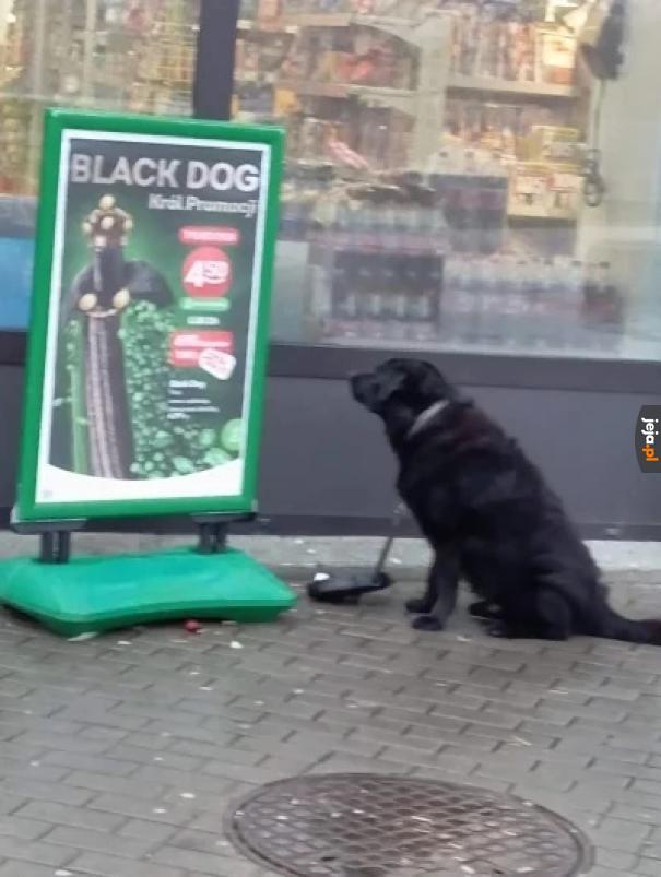 No chyba tak