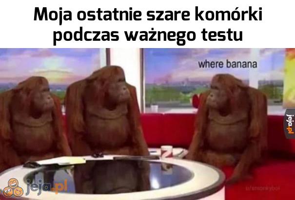 Zawsze