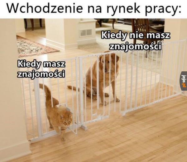 Introwertyk na rynku pracy to wisielczy żart