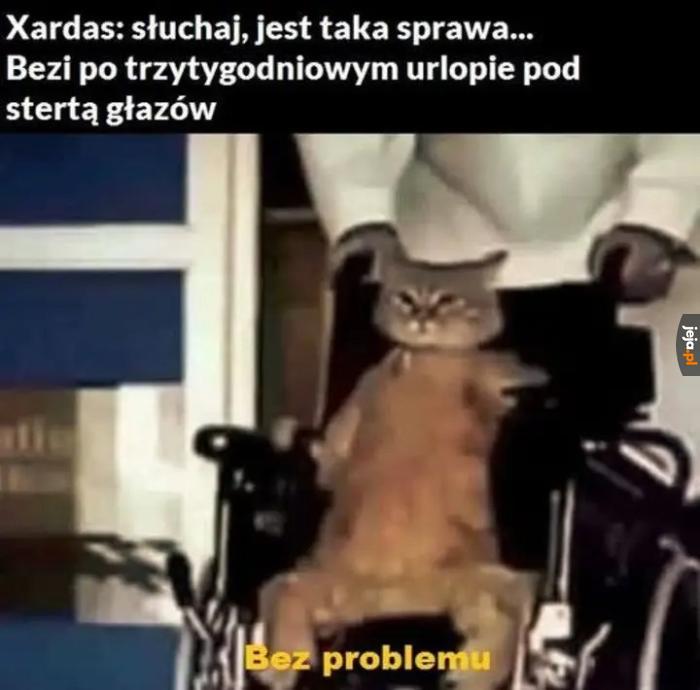 Załatwione