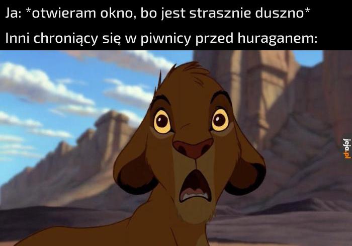 MACIEK NIEEEEEE!!!!!