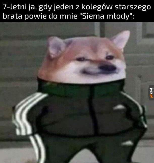 Teraz jestem ich ziomkiem