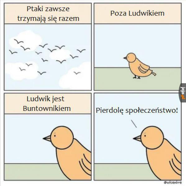 Ludwik buntownik