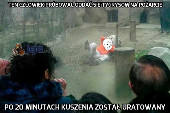 Nawet tygrysy go nie chciały...