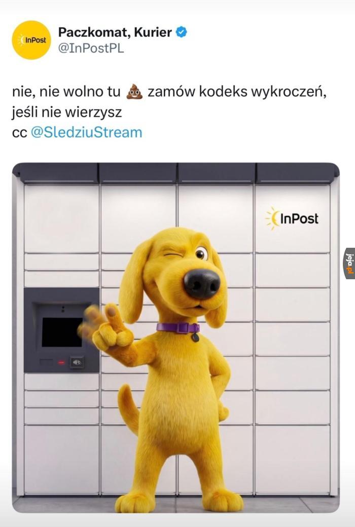 Oficjalny werdykt