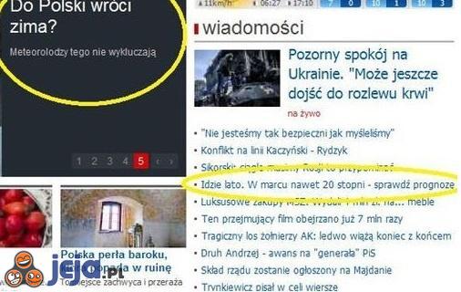 Sami się zdecydować nie mogą