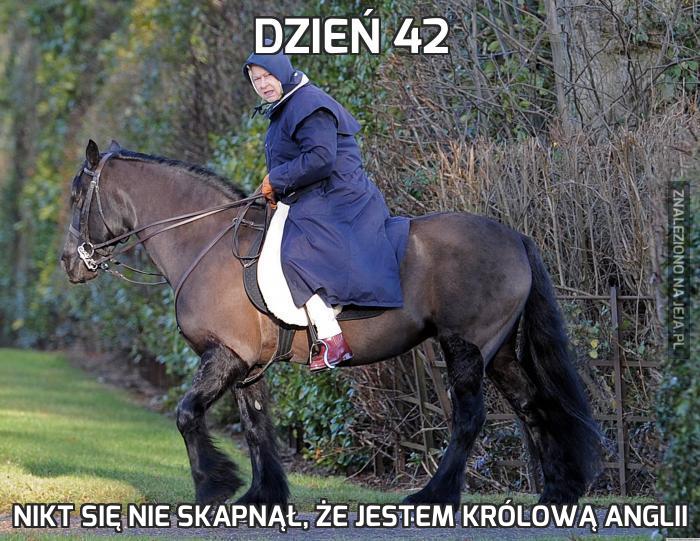 Dzień 42