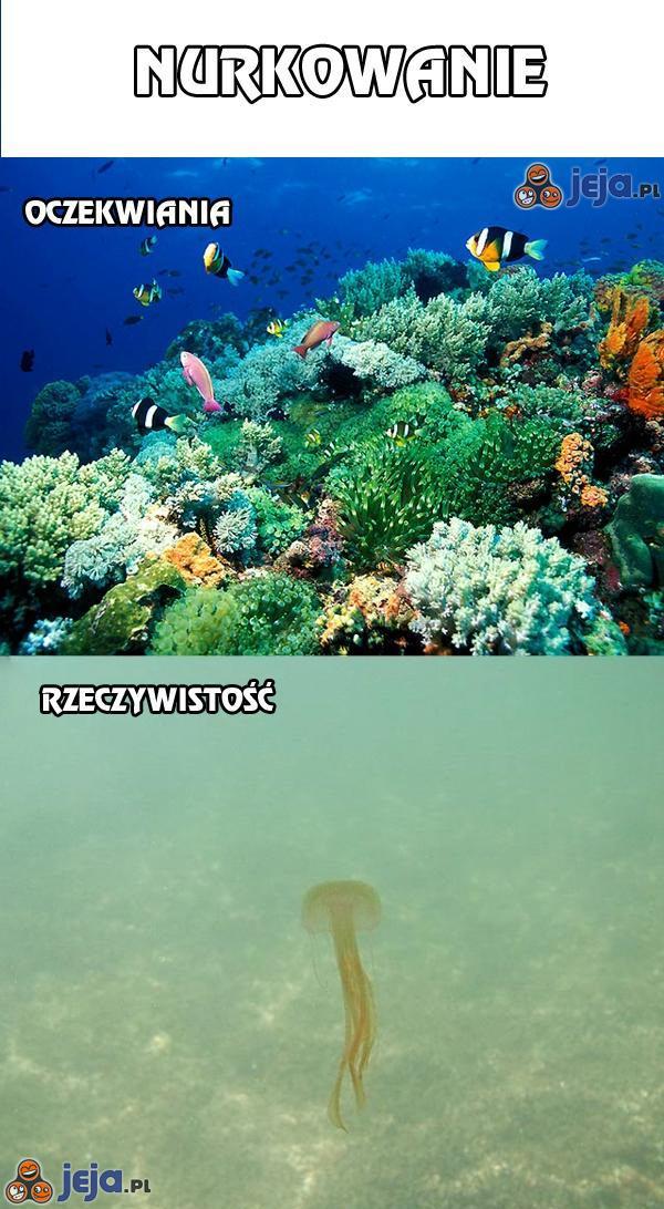 Nurkowanie - oczekiwania vs rzeczywistość