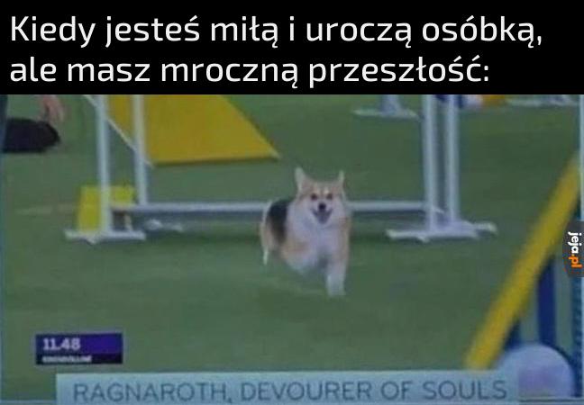 Puszysty mściciel