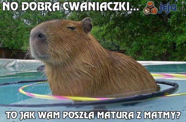 No dobra cwaniaczki...