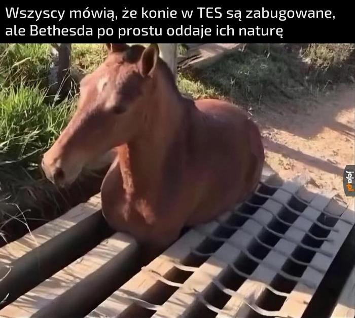 Wykrywanie kolizji w koniu się nie powiodło