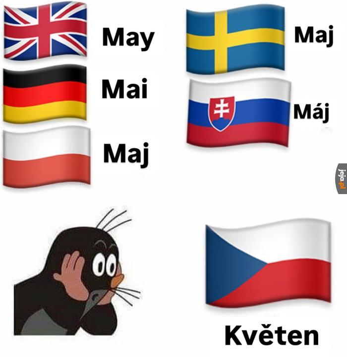 Można się pogubić