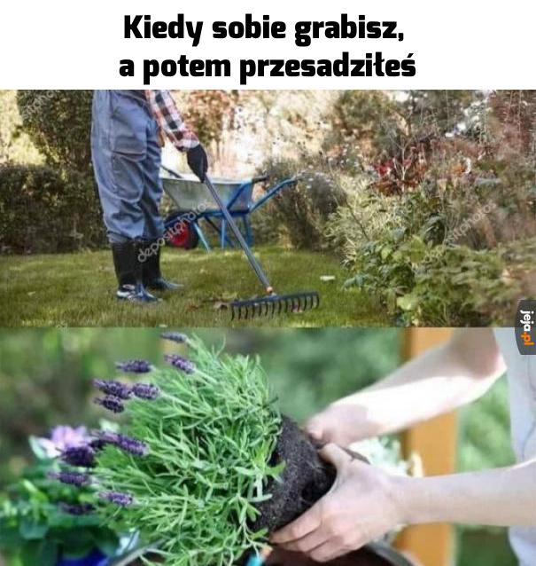 Pora na odpoczynek, bo to już za daleko zaszło