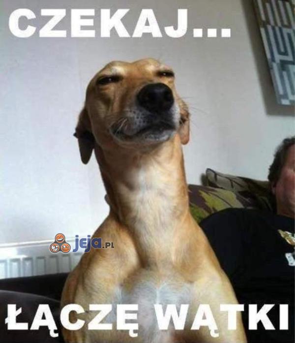 Czekaj...