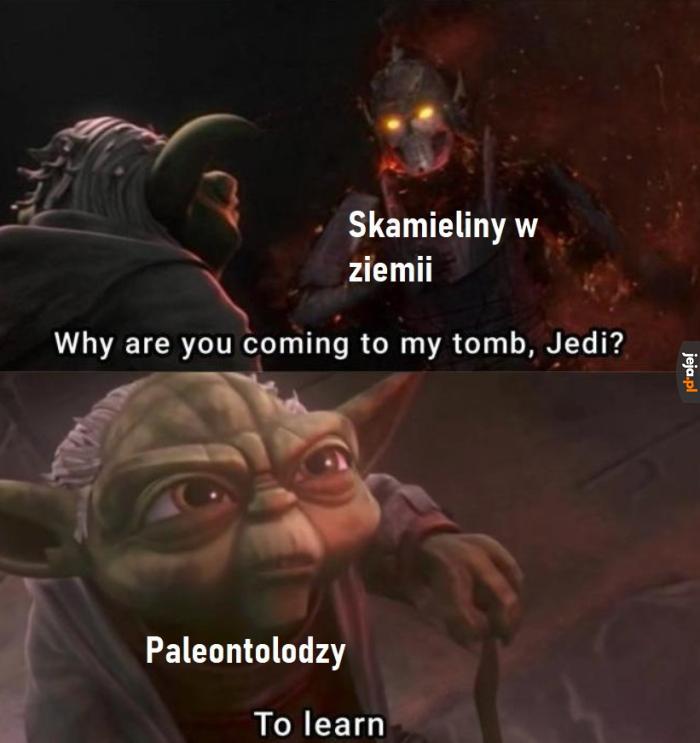 Paleontologia to życie