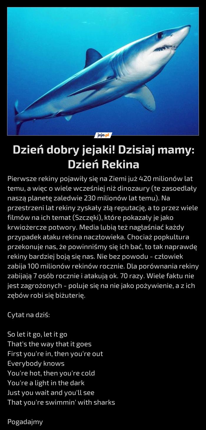 Dzień dobry jejaki! Dzisiaj mamy: Dzień Rekina