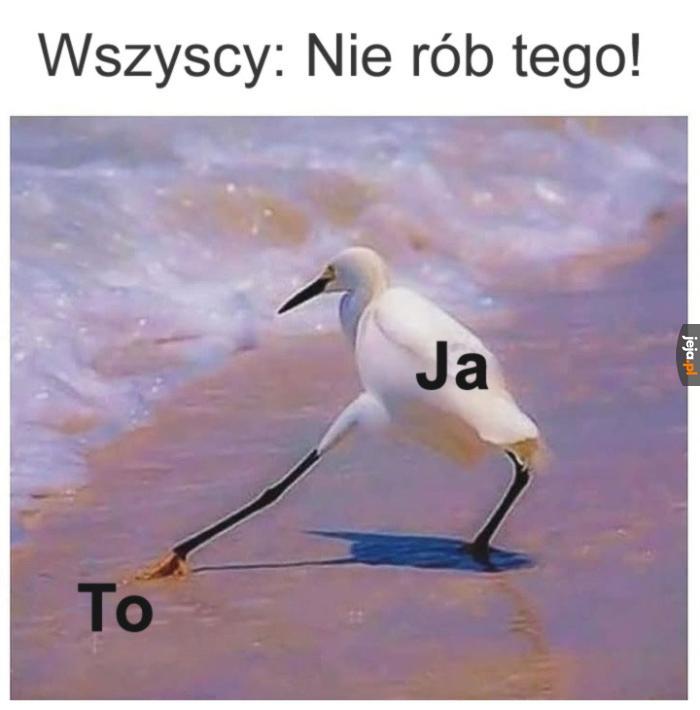Tak już mam