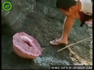 WTF??