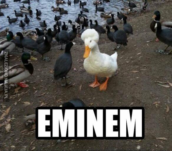 Eminem