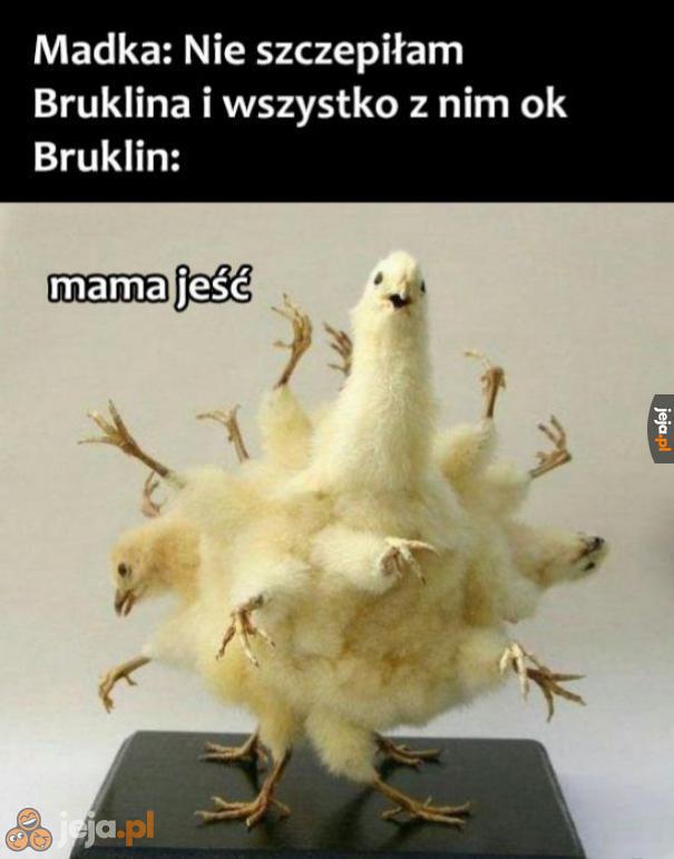 Zdrów jak ryba