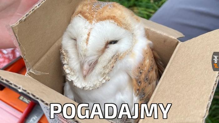 Pogadajmy