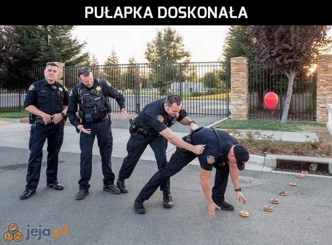 Pułapka doskonała