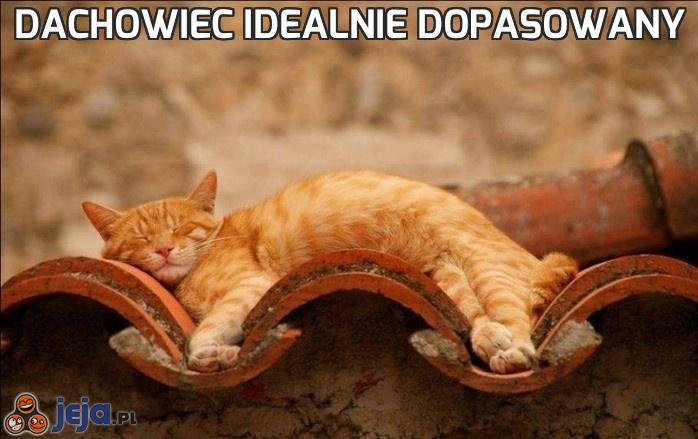 Dachowiec idealnie dopasowany