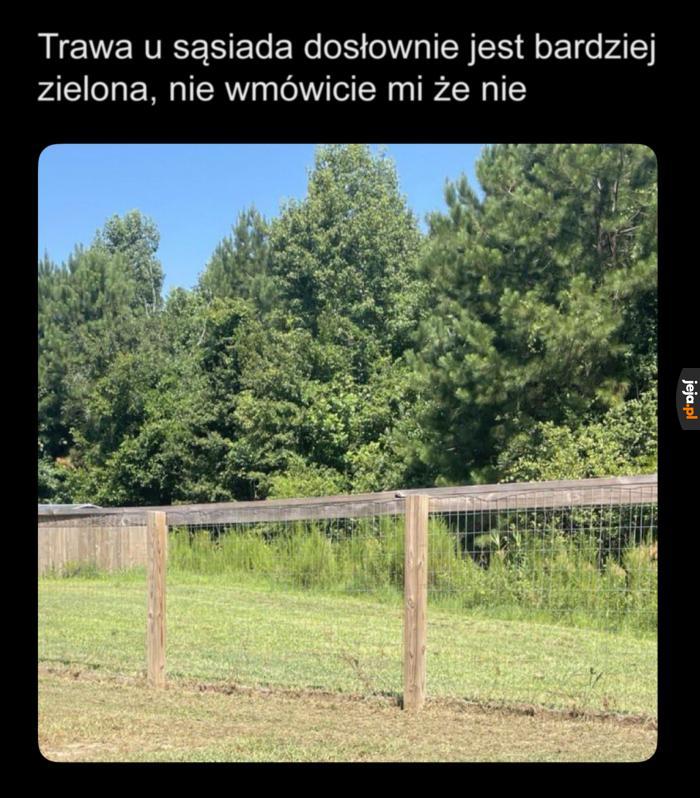 Przecież widzę