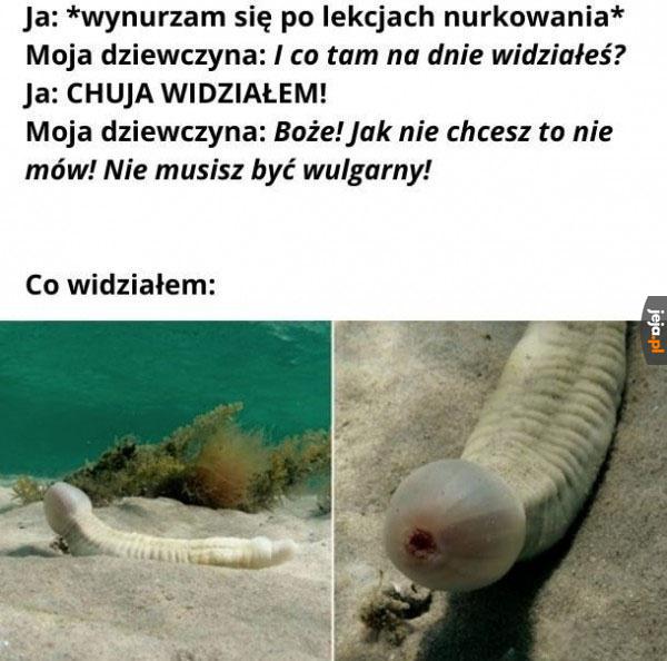 Mówię prawdę!