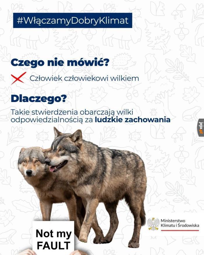 Tytuł
