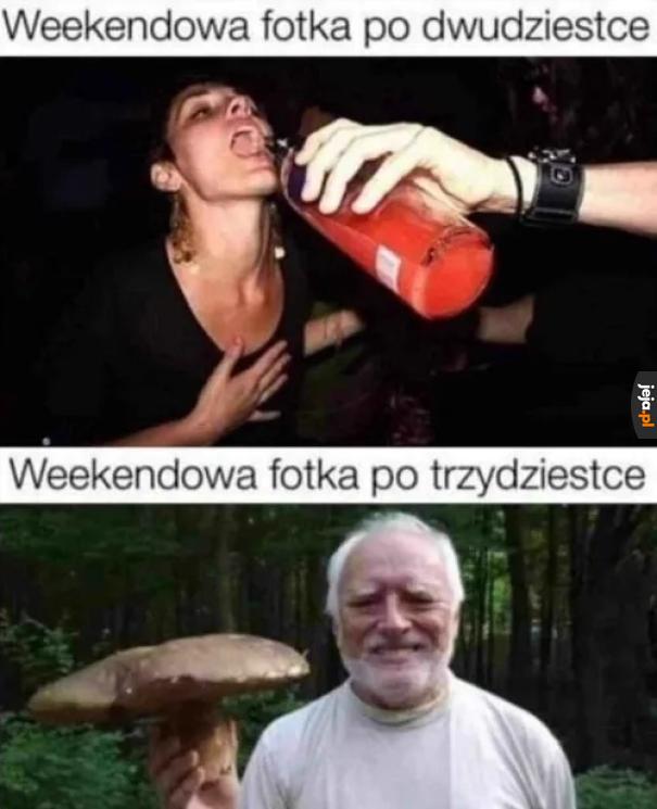 Fotka z grzybem najlepsza