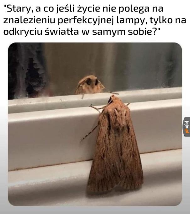Motywujące
