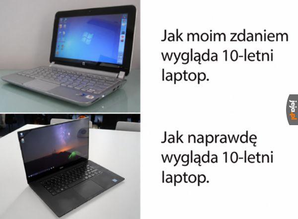 Przestały ewoluować jakiś czas temu