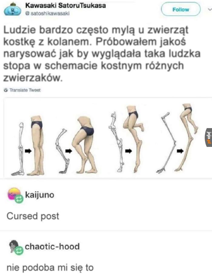 Mamo proszę przyjedź