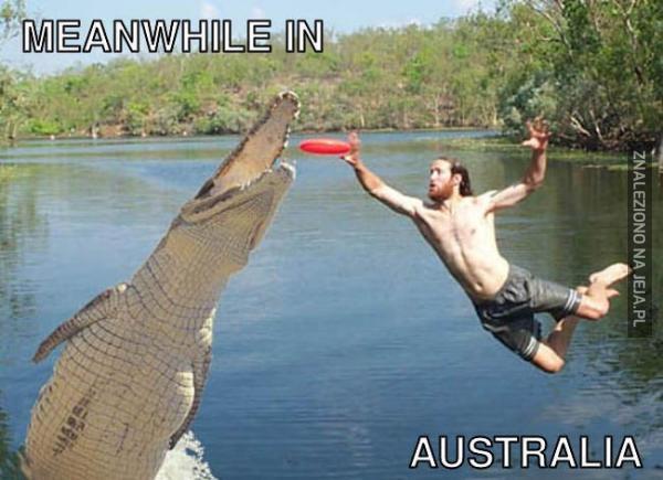 Tymczasem w Australii