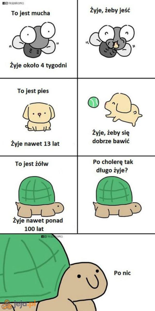 I co, zabronisz mu?