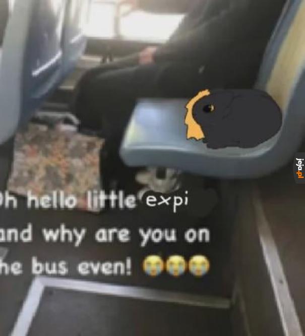 Jedzie do Ł*dzi😞✌️✌️